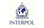 Fast 4 000 Festnahmen – Interpol zerschlägt Online-Betrügernetzwerk