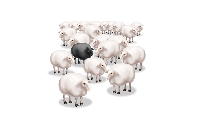 Schwarze Schafe im Internet-Handel