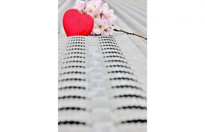 Alles Lüge? – Flirt- und Datingplattformen im Internet