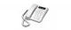 Festnetz-Telefon