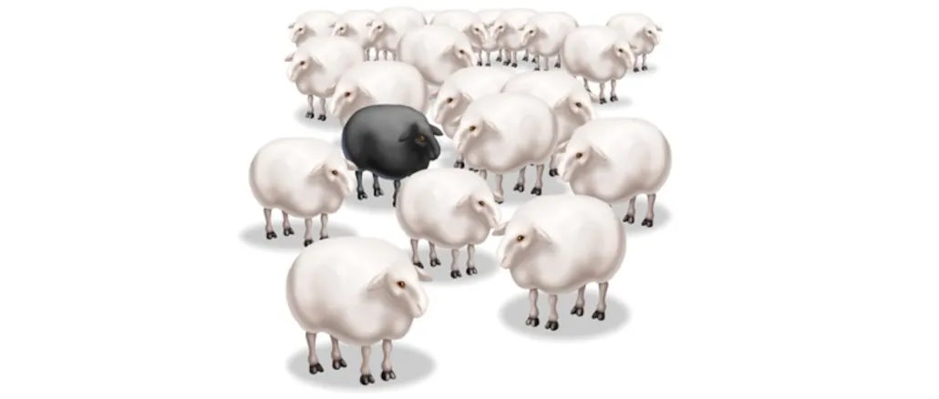 Neuer Druck auf Verbraucher – 1N Telecom ignoriert das Urteil des BGH