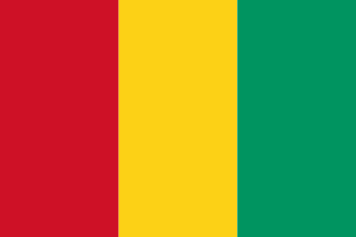 Handy Vorwahl  Guinea